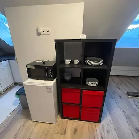 Francis Ii - Center 아파트 카를로비바리