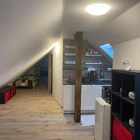 아파트 Francis Ii - Center 카를로비바리