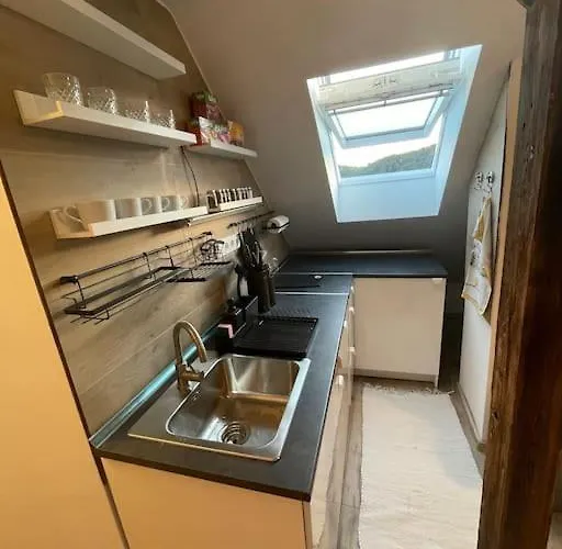 Francis Ii - Center Apartment Karlsbad